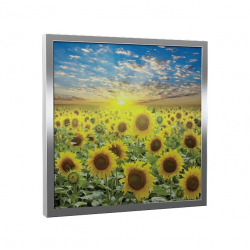 Natūralaus šildymo plokštės „ECOSUN G GALERIE“